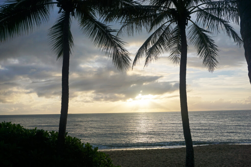 Vegan in Australia - Cairns Beachfront