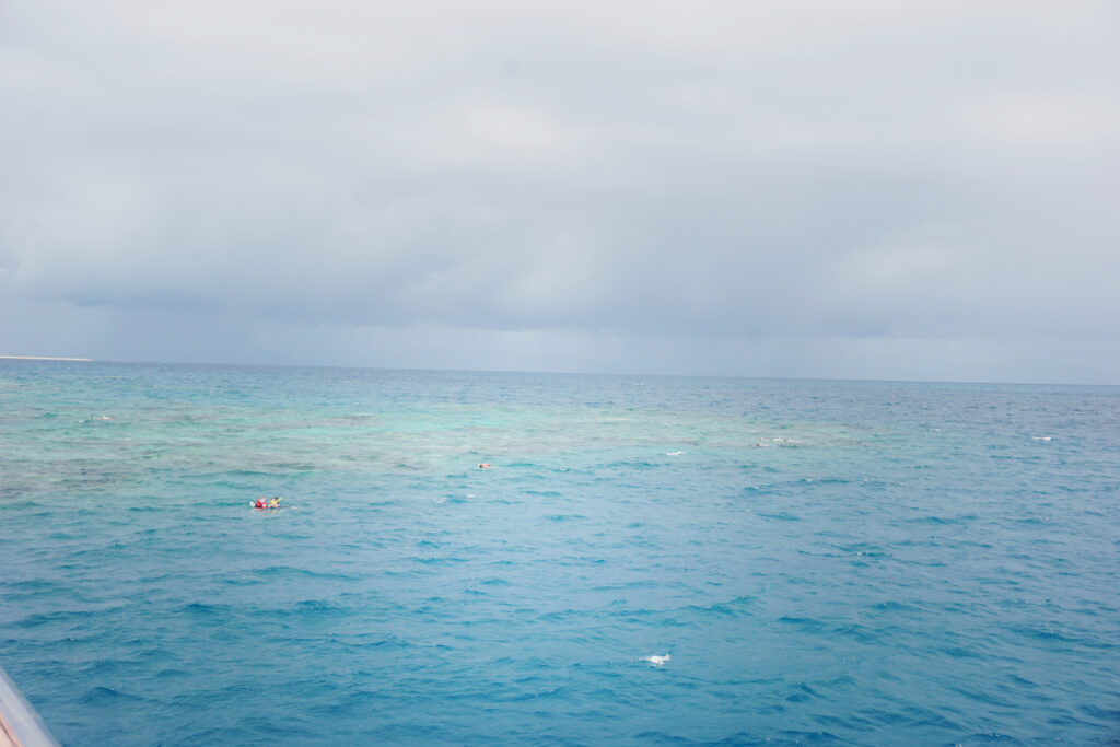 Snorkelling at the Great Barrier Reef, Queensland